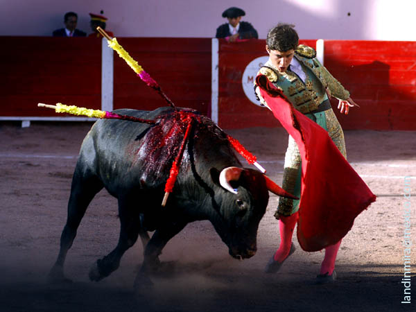 Fernando, va en la primera de Feria