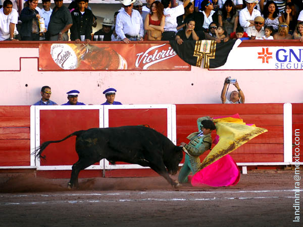 Afarolada de Fernando Alzate