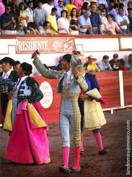 La �nica oreja de la tarde