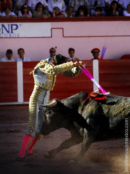 Banderillas en rosa y blanco