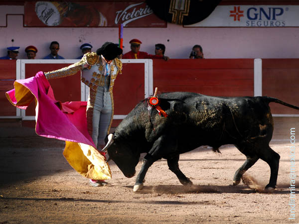 Gaoneras de Jorge Adame