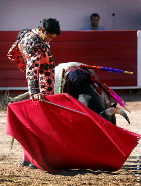 Montoyita, Mayo 10 en la Feria
