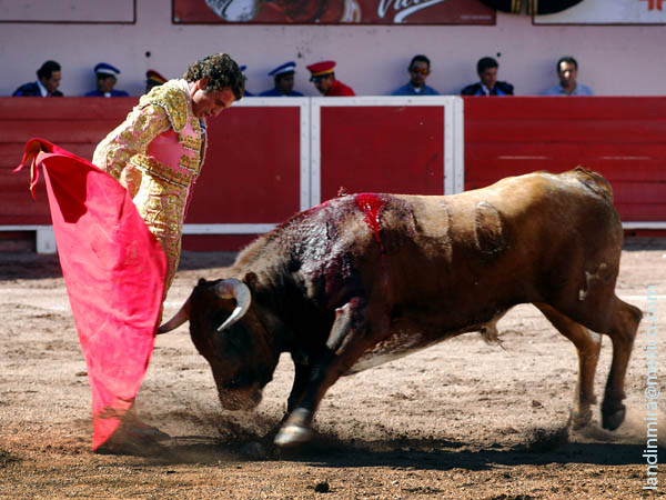 Variado con la muleta