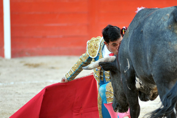 Delante de los pitones