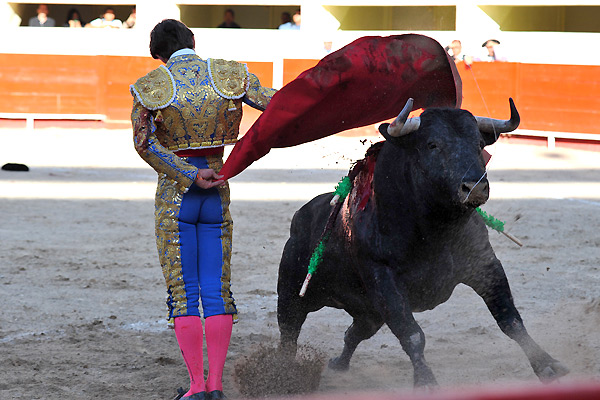 Una manoletina en el tercio