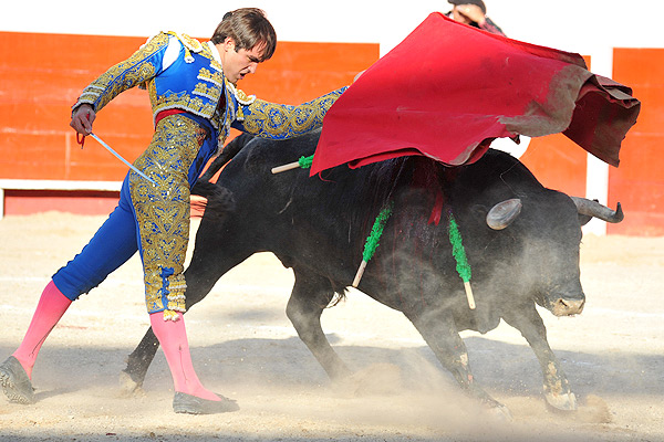 Todo el toro por delante