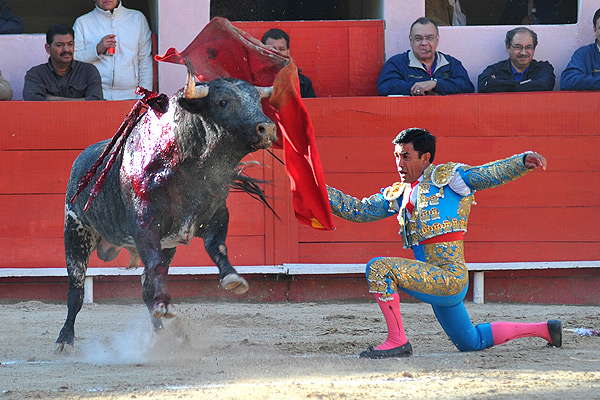 Pase rodilla en tierra