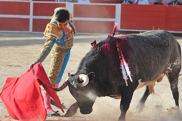 Sometiendo la embestida