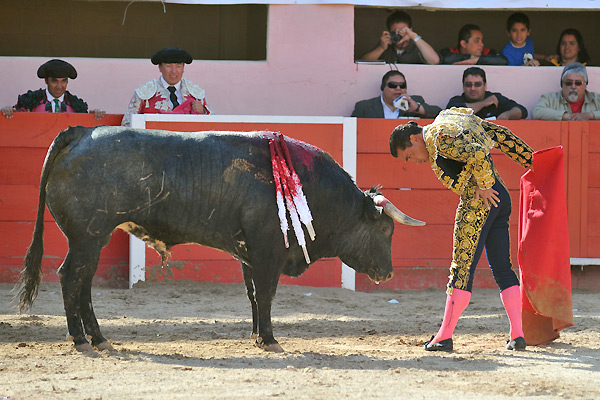 Metido entre los pitones