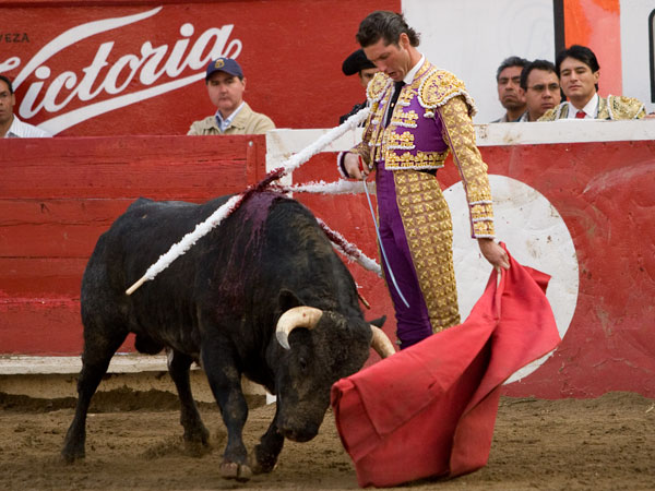 El desd�n de Ochoa