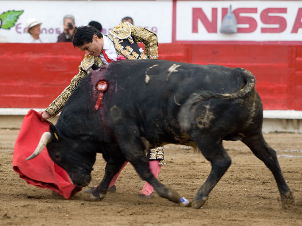 Luch� contra el viento