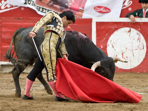 Flores muy pinturero