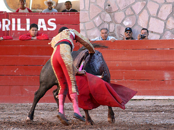 Aguant� el derrote en la estocada