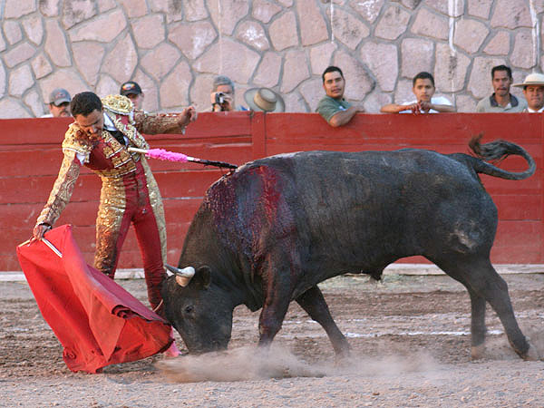 Templando con suavidad