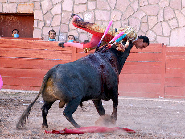 Espeluznante voltereta