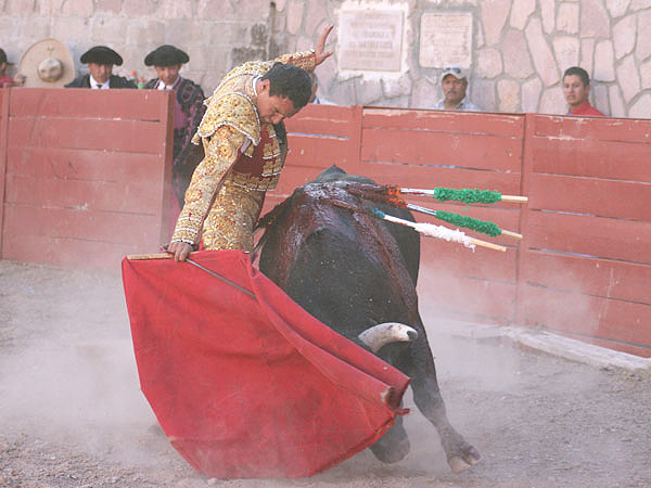 Sp�nola se fundi� con el toro