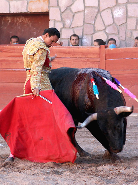 Hacia atr�s de la cadera