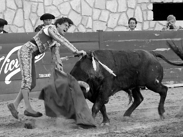 La estocada de Jos� Mauricio