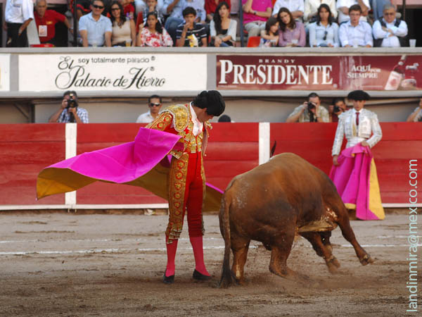 Labastida: Mayor contenido