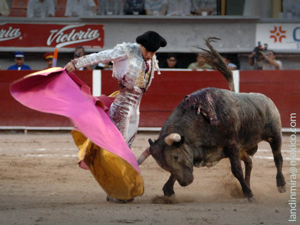 Vertical en las gaoneras