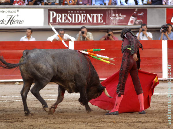 Adame con su segundo