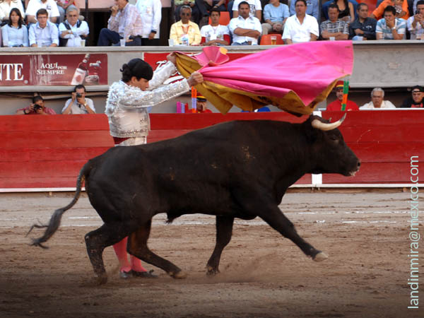 Variedad en los quites