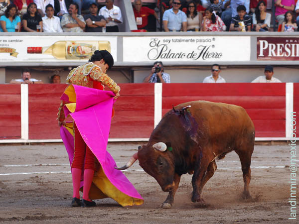 Chicuelinas de Labastida