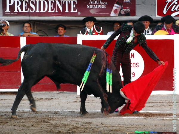 Sobre las rayas blancas