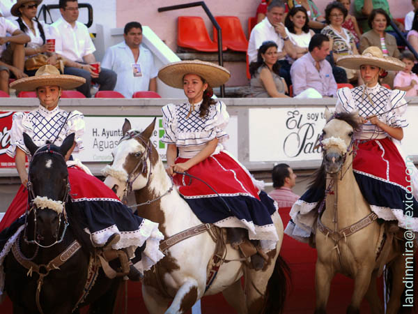 El albero engalanado