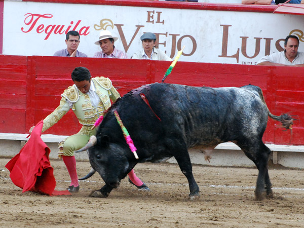 Elegante inici� Delgadillo