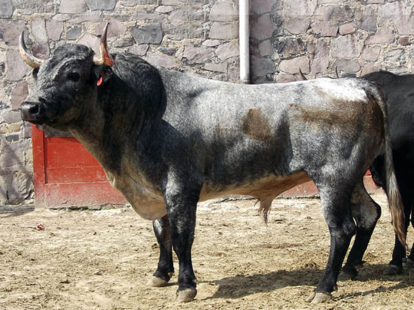 Ejemplar No.180 Rancho Seco