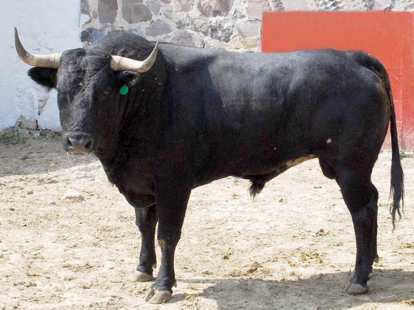 Ejemplar No.146 Rancho Seco