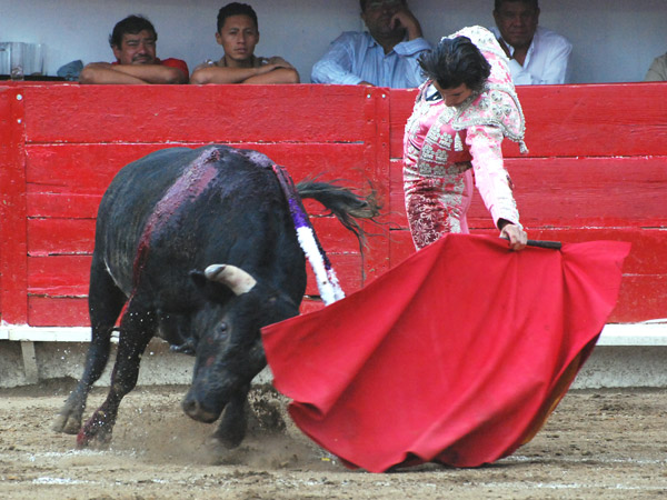 D�ndole dimensi�n al natural