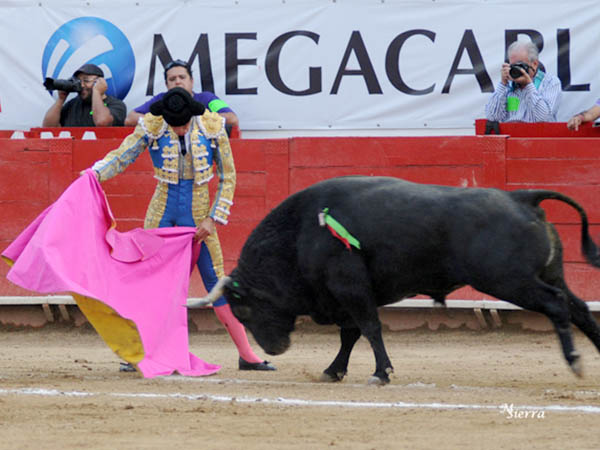 Ver�nicas de Ricardo Rivera