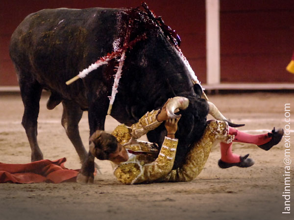 A merced del ejemplar