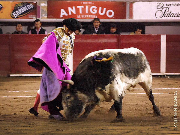 Vernicas al berrendo