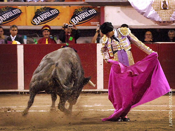 Saludo por chicuelinas
