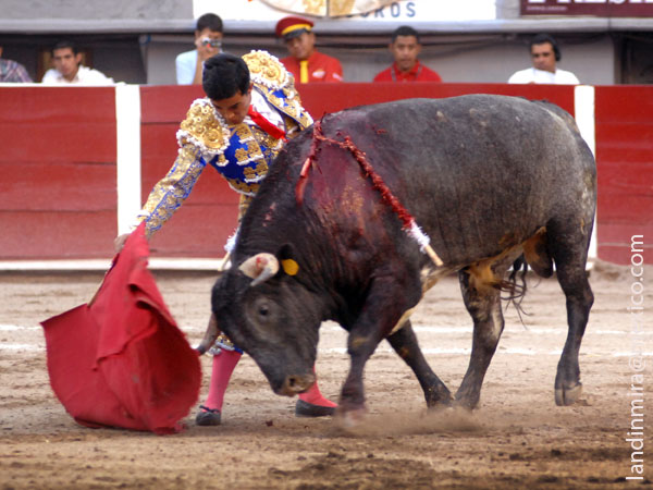 En el centro del pandero