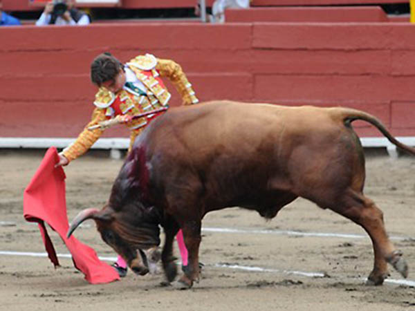 Por el pit�n derecho