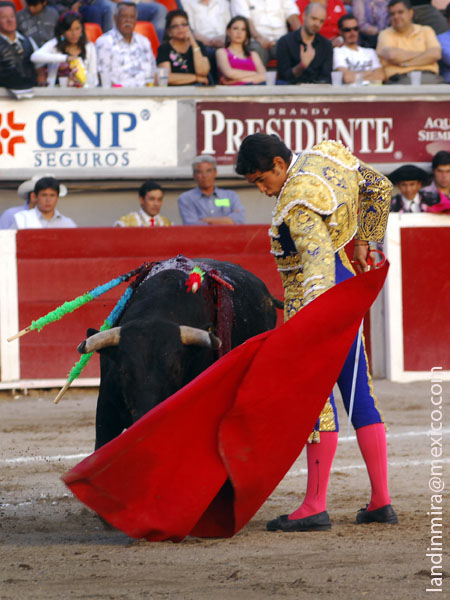 Naturales regiomontanos
