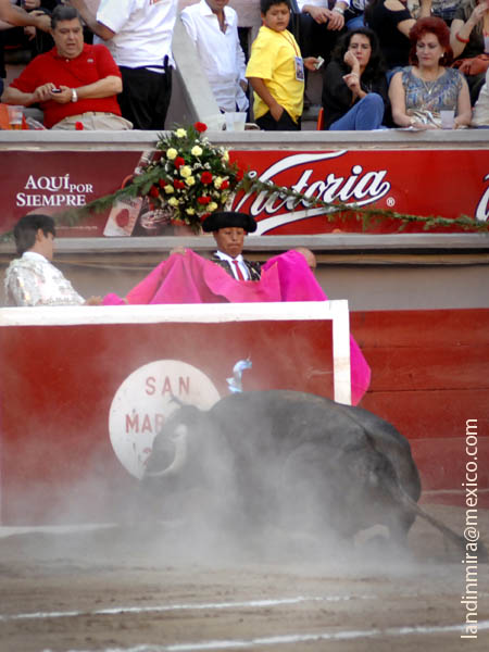 Se estrell� en el burladero