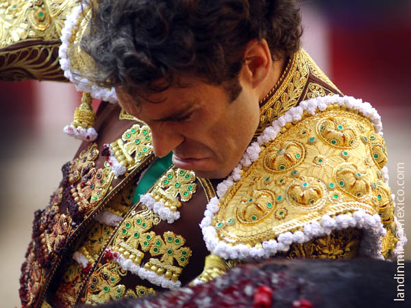 El pr�ncipe de Galapagar