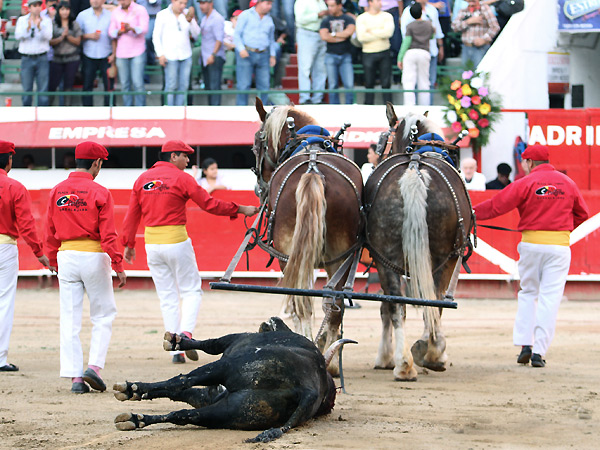Arrastre lento para el toro