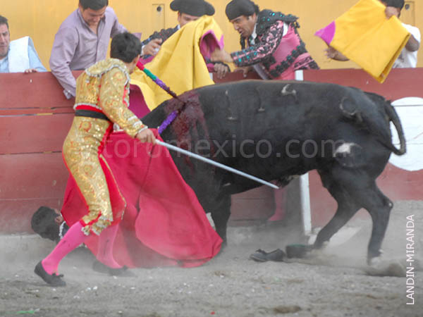 Intentando por todas las formas