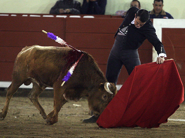 Sinti�ndose torero