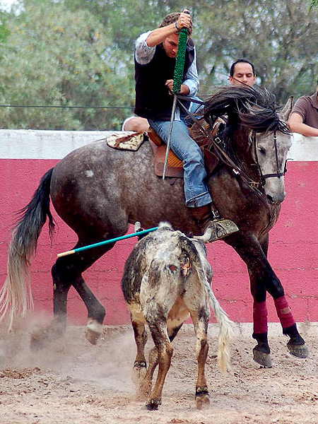Esperando la acometida