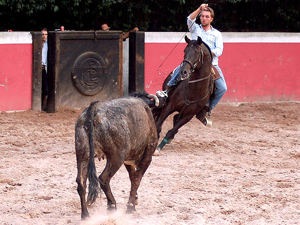 Cuarteando la suerte