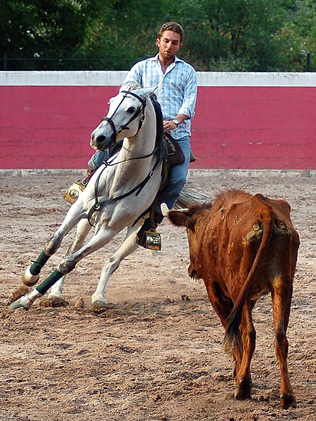 Batida a pit�n contrario