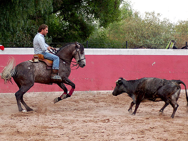 Por los terrenos de adentro