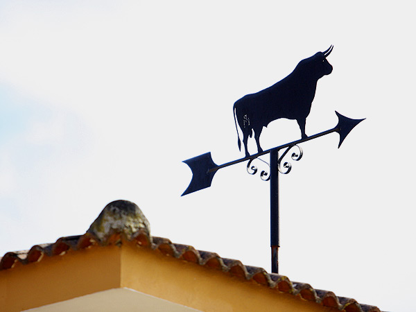 Direcci�n: Las Ventas